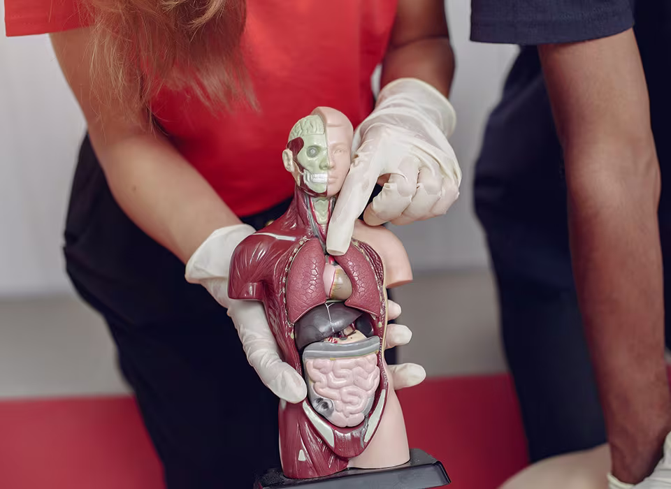 Ендоскопічне видалення утворів ШКТ у клініці Horizons